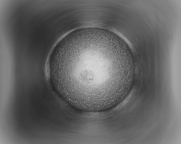 X0000102310925200808081602