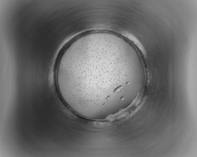 X0000102310928200808081602