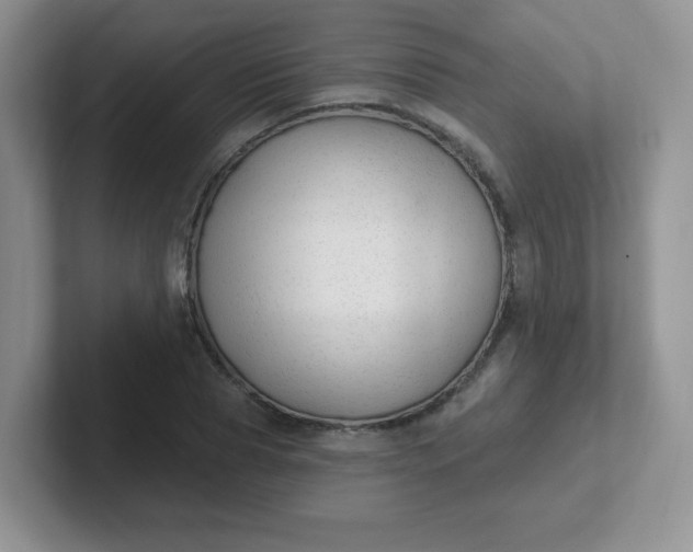 X0000102310929200808081602