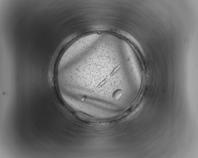 X0000102310930200808081602