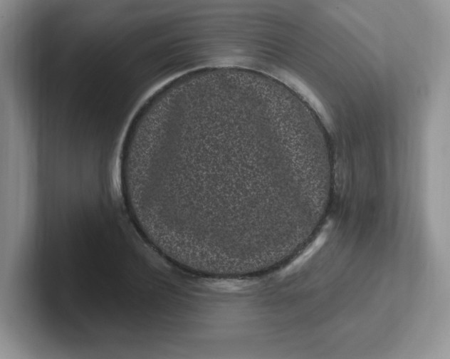 X0000102310932200808081602