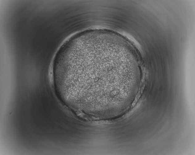 X0000102310934200808081602