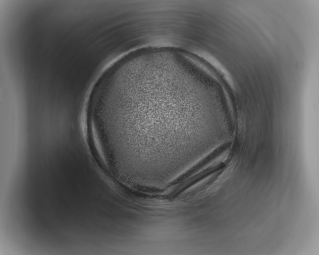 X0000102310935200808081602