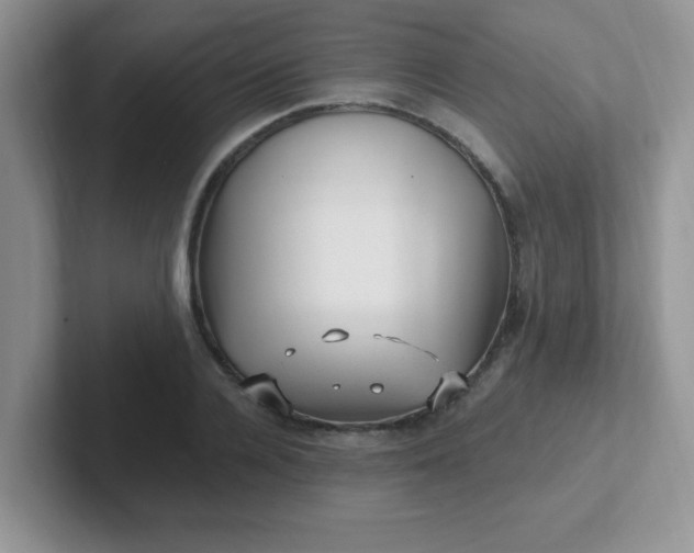 X0000102310936200808081602