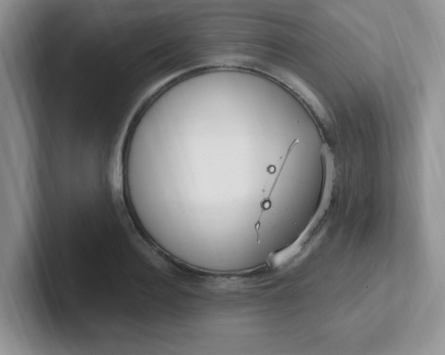 X0000102310940200808081602