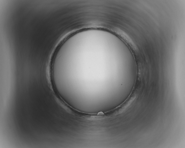 X0000102310942200808081602