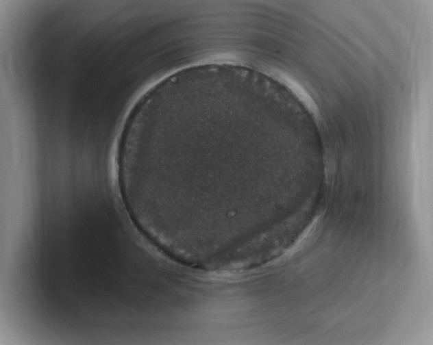 X0000102310944200808081602