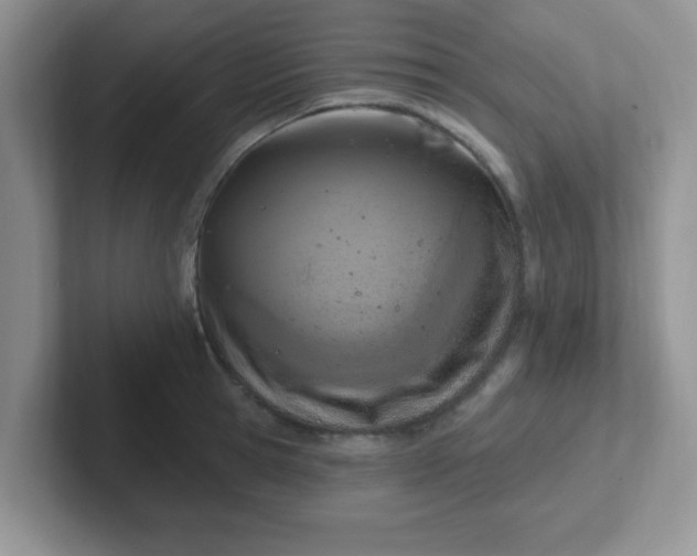 X0000102310945200808081602