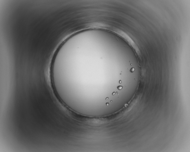 X0000102310947200808081602