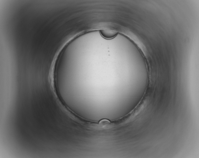 X0000102310949200808081602