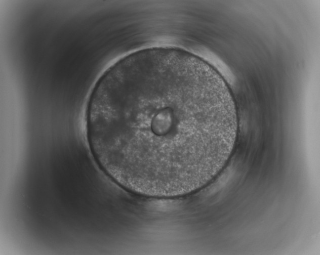 X0000102310950200808081602