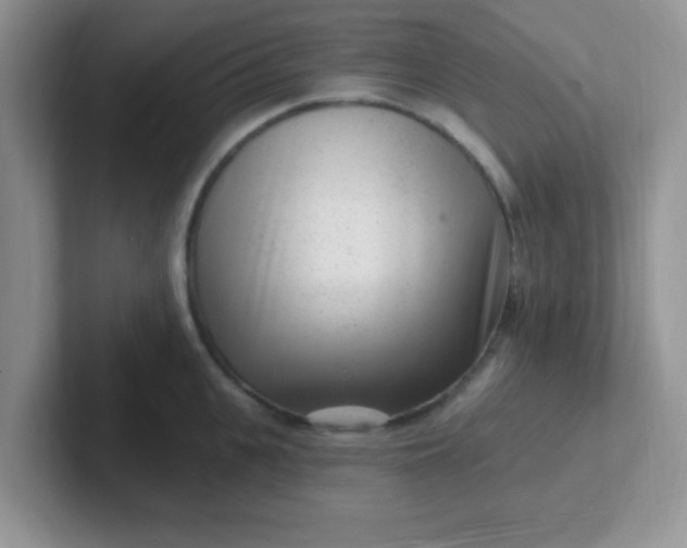 X0000102310951200808081602