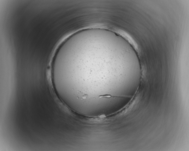 X0000102310952200808081602