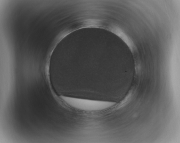 X0000102310954200808081602