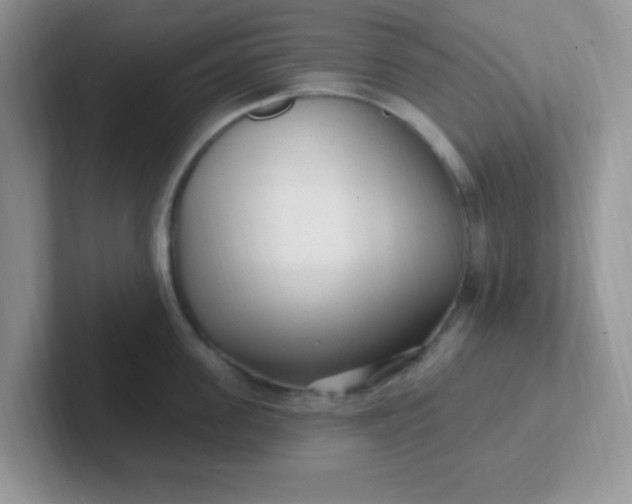 X0000102310955200808081602