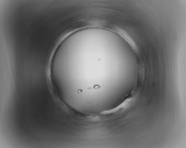 X0000102310956200808081603