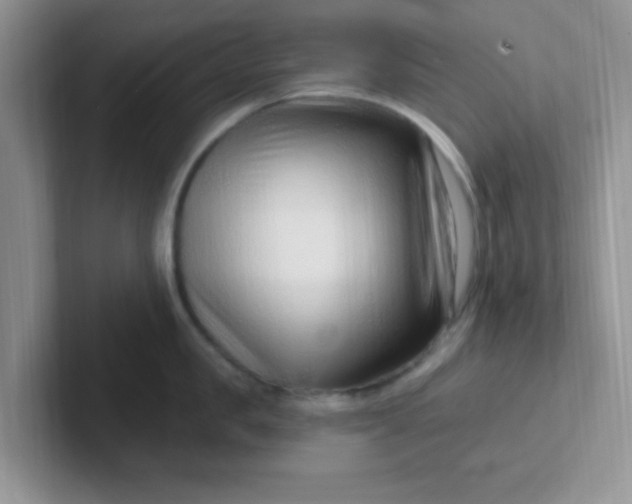 X0000102310957200808081603