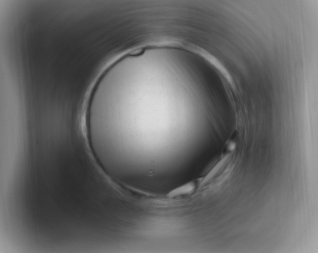 X0000102310959200808081603