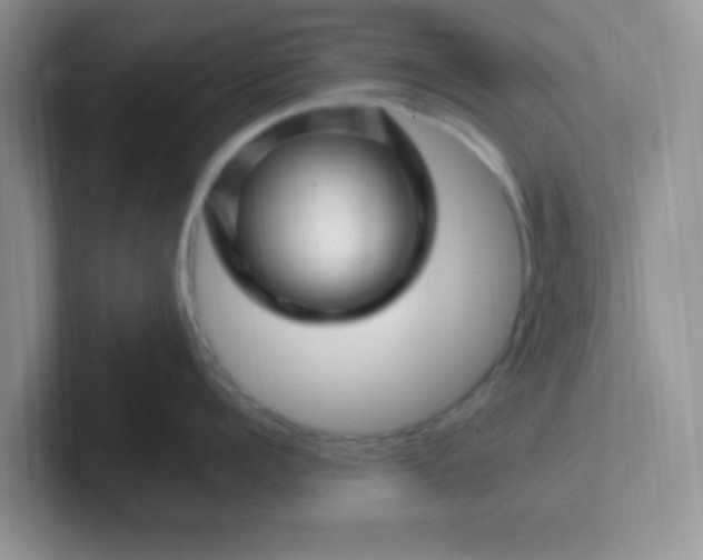 X0000102310960200808081603