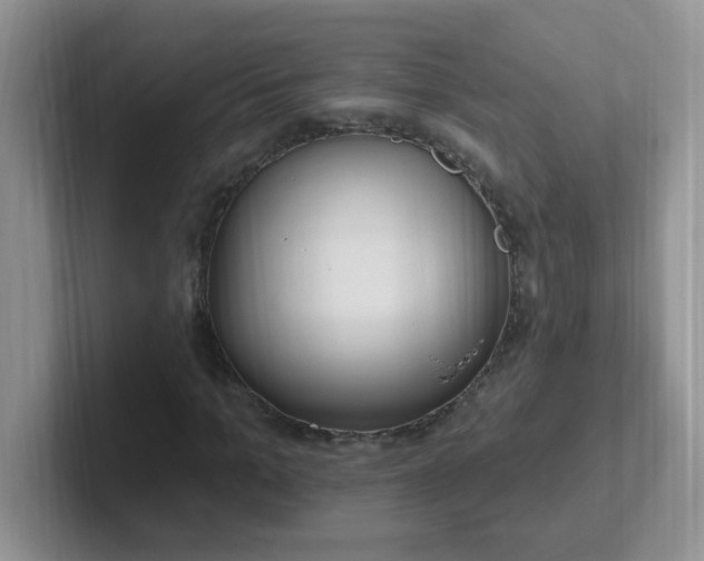 X0000102310965200808081602