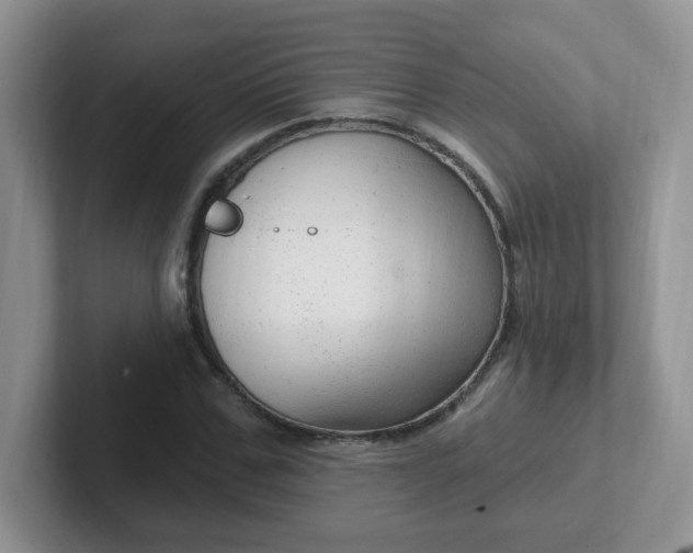 X0000102310971200808081602