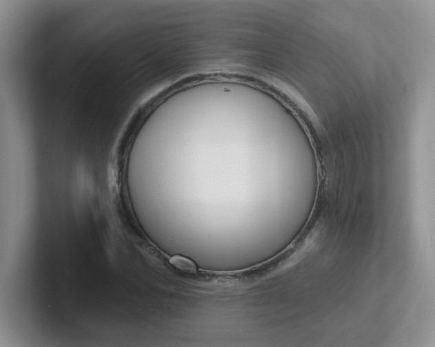 X0000102310974200808081602