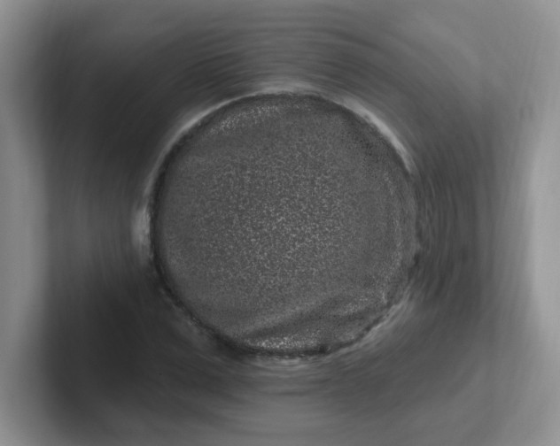 X0000102310975200808081602