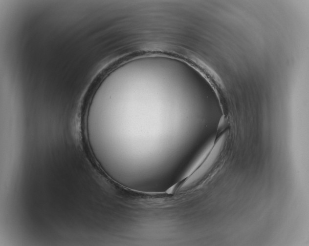 X0000102310976200808081602