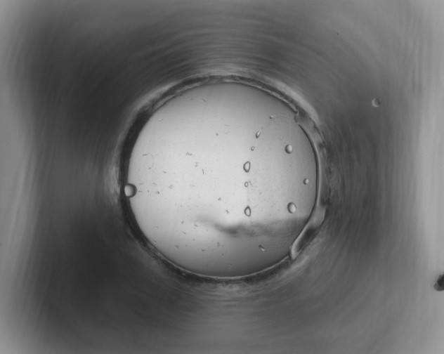 X0000102310979200808081602