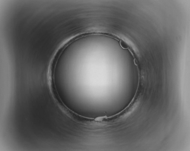 X0000102310981200808081602