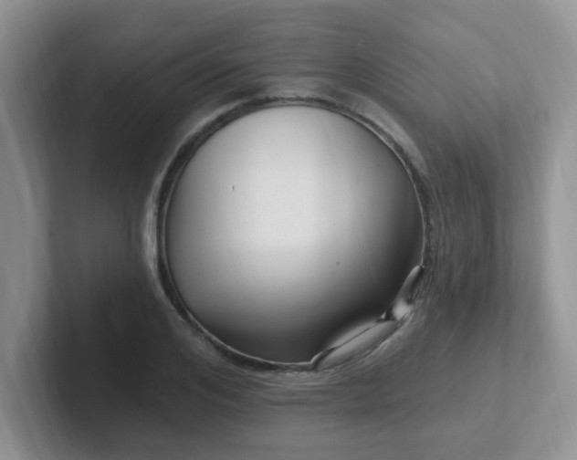 X0000102310984200808081602