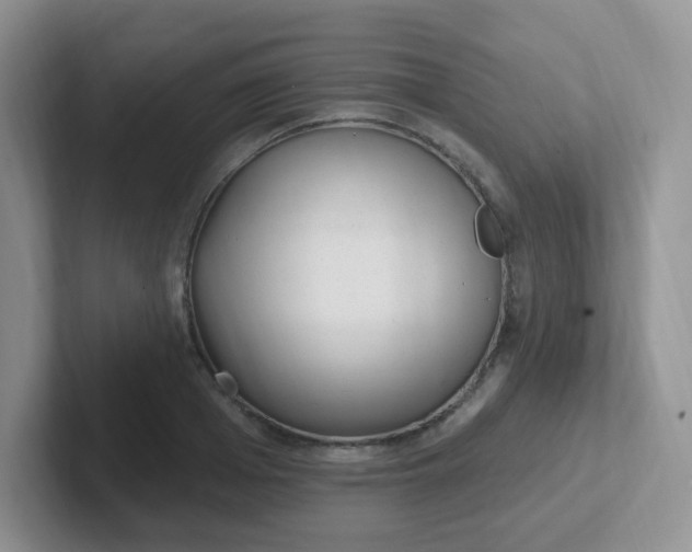 X0000102310985200808081602