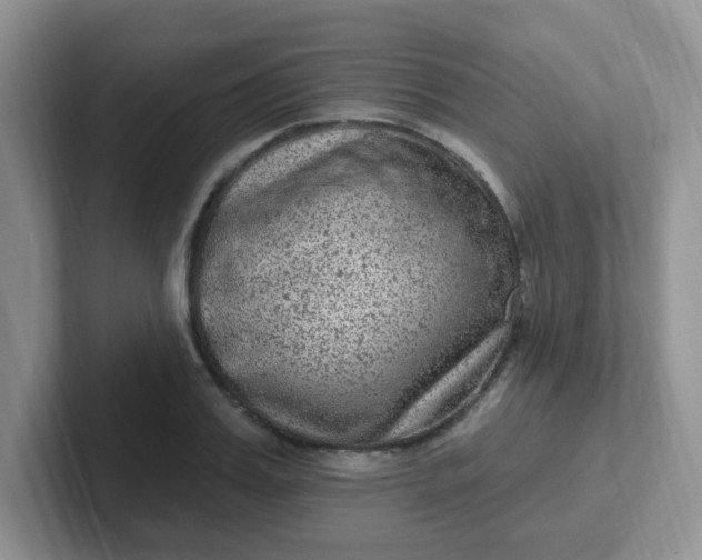 X0000102310987200808081601