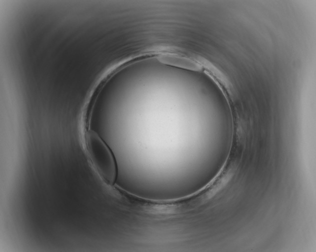 X0000102310989200808081601