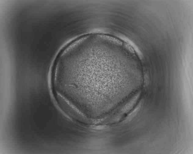 X0000102310991200808081601