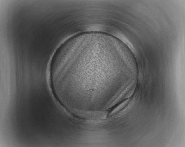 X0000102310992200808081601