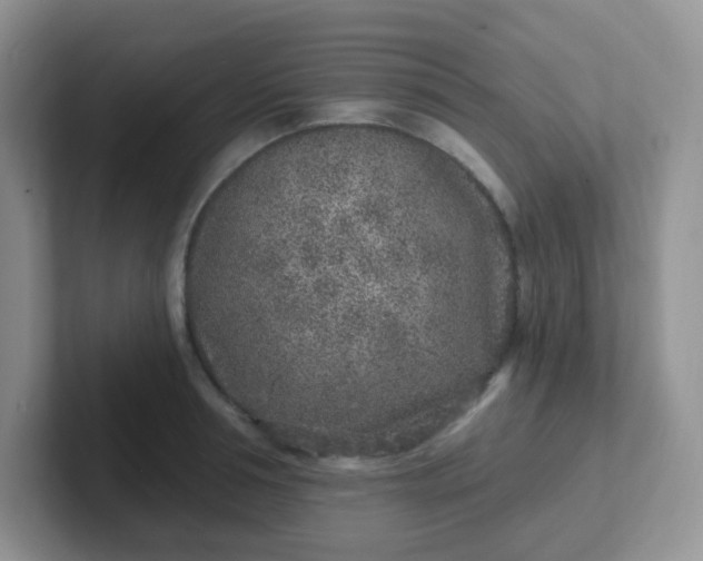 X0000102310994200808081601