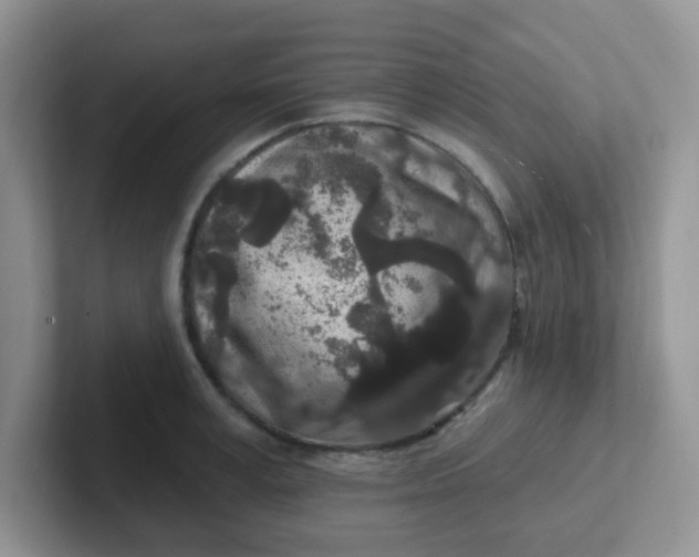 X0000102310995200808081601