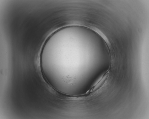 X0000102310996200808081601