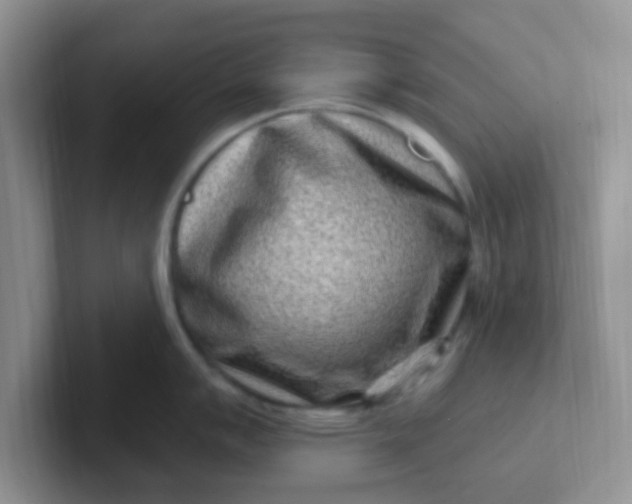 X0000102311007200808081601