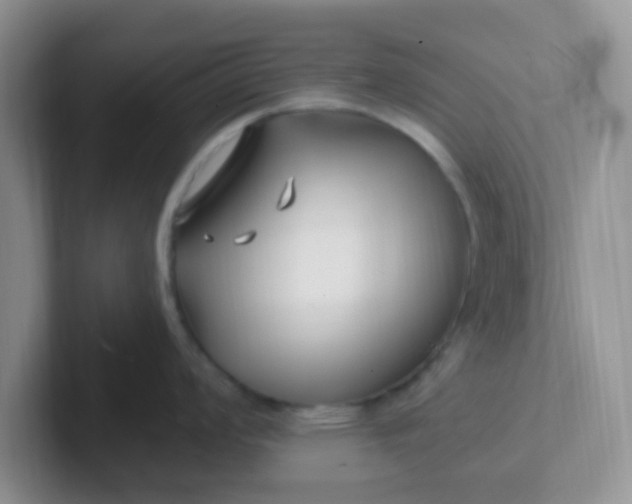 X0000102311008200808081601