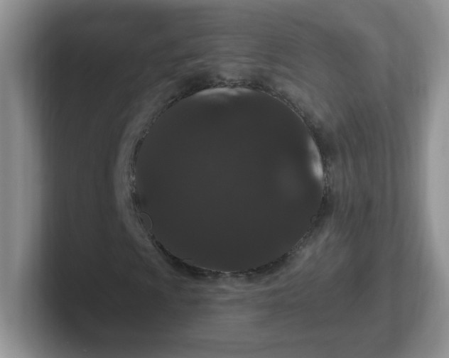 X0000102311009200808081600