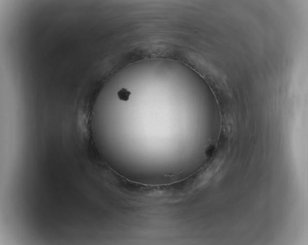 X0000102311010200808081600