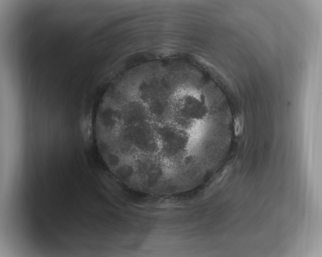 X0000102311011200808081601