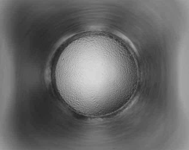 X0000102311019200808081601