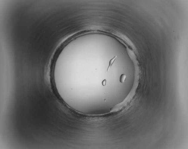 X0000102311020200808081601