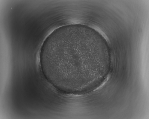 X0000102311023200808081601