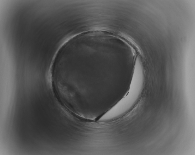 X0000102311024200808081601