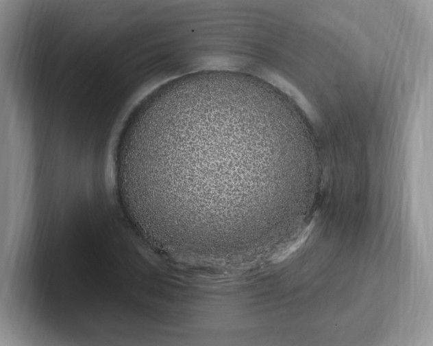 X0000102311027200808081601