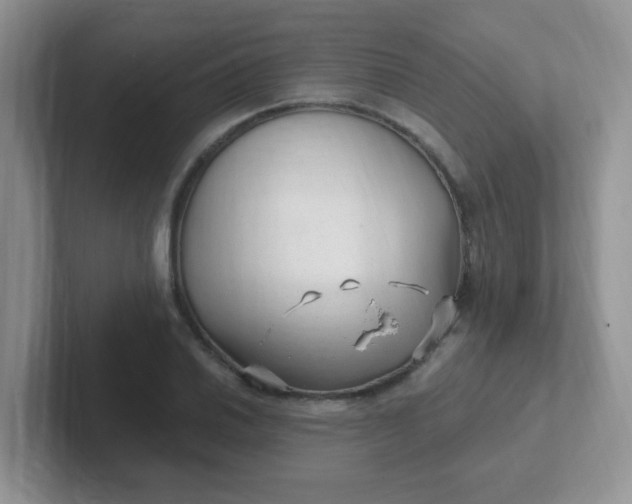 X0000102311030200808081601